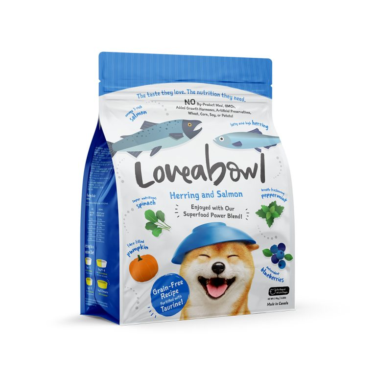 The importance of Choosing the right Dog Food for your Pet’s Health